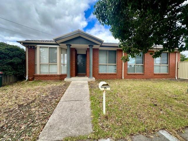 77 Marshall Avenue, VIC 3021