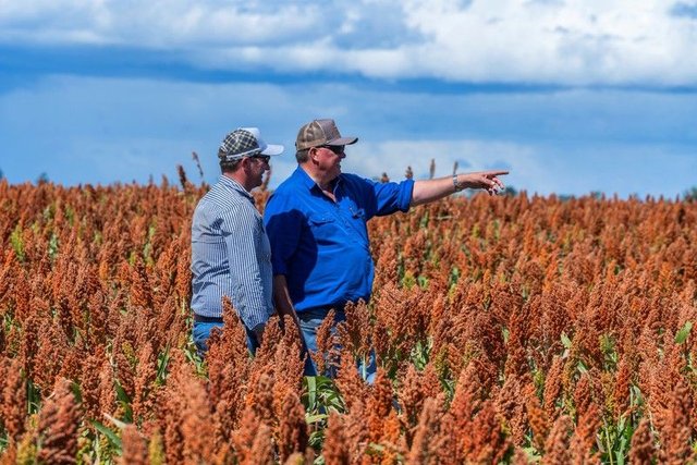 1989 Millmerran Leyburn Road, QLD 4352