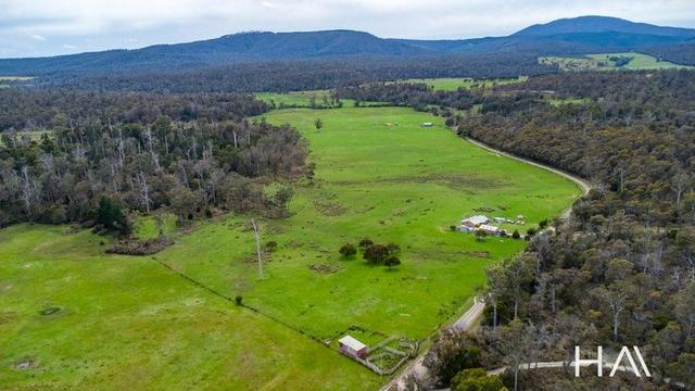 1424 Forester Road, TAS 7260