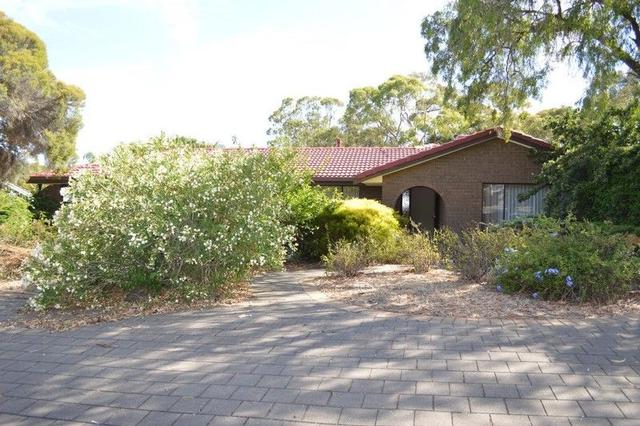 27 Toovis Avenue, SA 5097