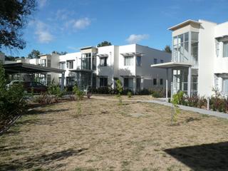 Courtyard (2017-01-09)