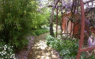 Rear garden (2003-10-31)