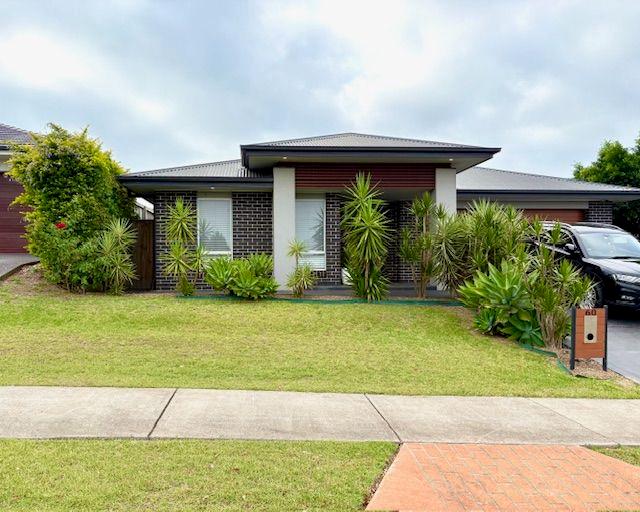 60 Dragonfly Drive, NSW 2322