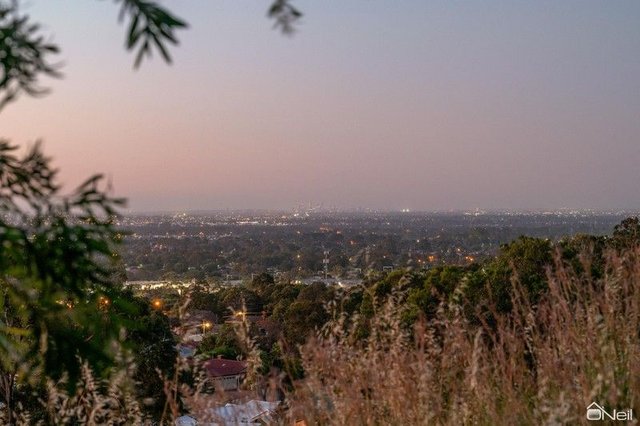 14 Rise Court, WA 6112