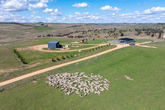 1185 Golspie Road, NSW 2580