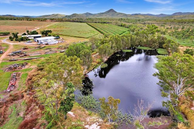 994 Leafgold Weir Road, QLD 4872