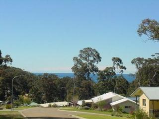 View (2008-02-19)