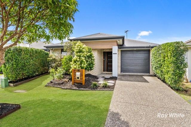 14 Coralina Crescent, QLD 4133