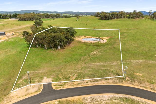 1 Grandview Place, NSW 2847