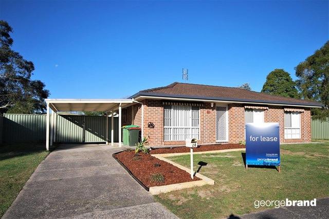 24 Mitchell Drive, NSW 2250
