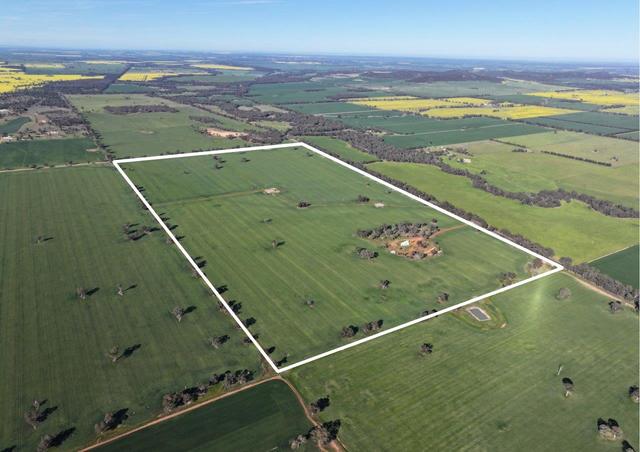 'Glencoe' 1700 Morangarell Road, NSW 2666