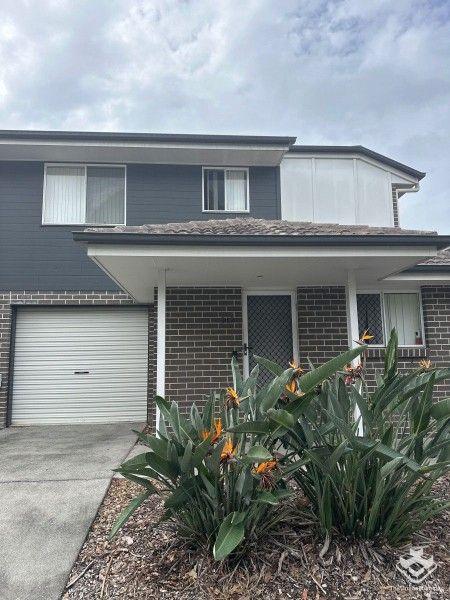 ID:21143979/325 Stanley Street, QLD 4500