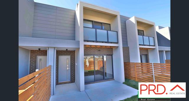 8B Rosenberg Street, ACT 2914
