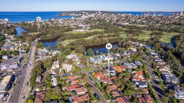 3 Palm Avenue, NSW 2100