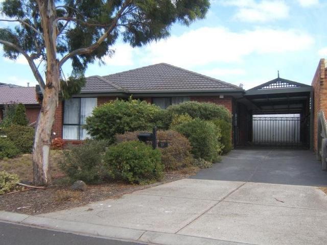 19 Sorghum Way, VIC 3037