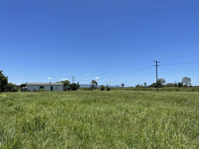 Lot 1 Avolio Drive, QLD 4880