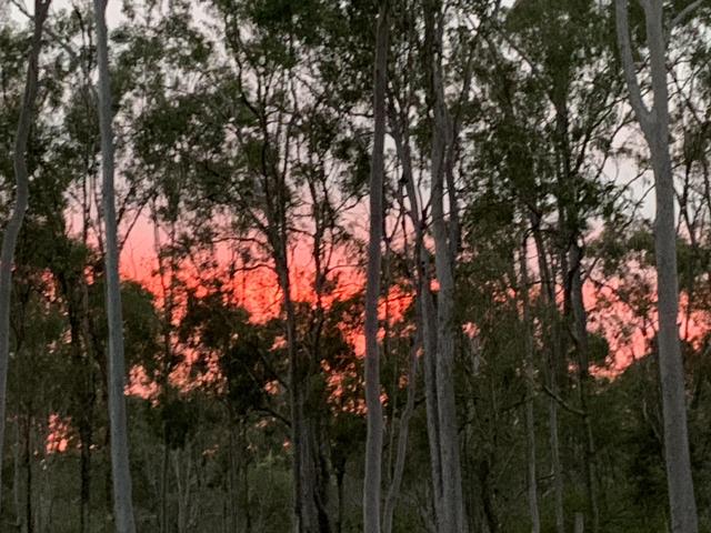 Lot 119, 4528 Bundaburg Gin Gin Road, QLD 4671