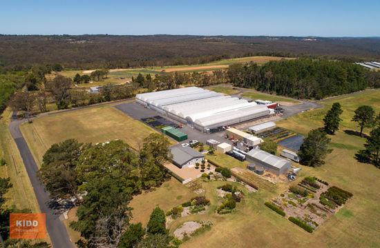 (no street name provided), NSW 2250