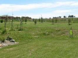 Land scaped gardens