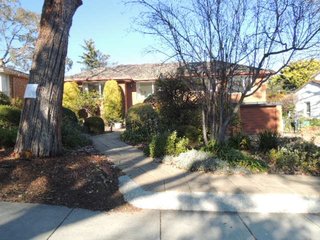 Frontyard