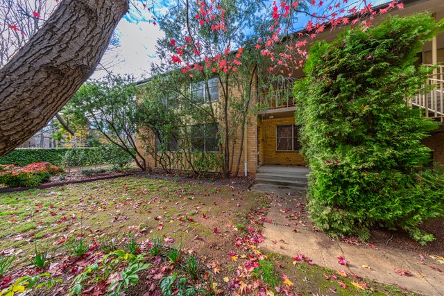 7/86 Anzac Parade, ACT 2612