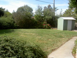 Backyard (2008-02-11)