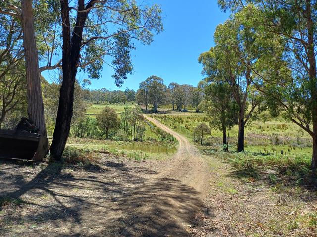 161 Levendale Back Road, TAS 7120