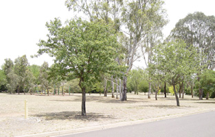 Park reserve