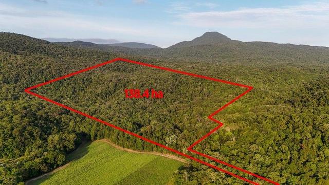 1060 Pine Creek Yarrabah Road, QLD 4871