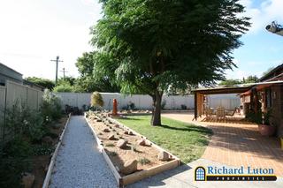 Backyard (2006-03-23)