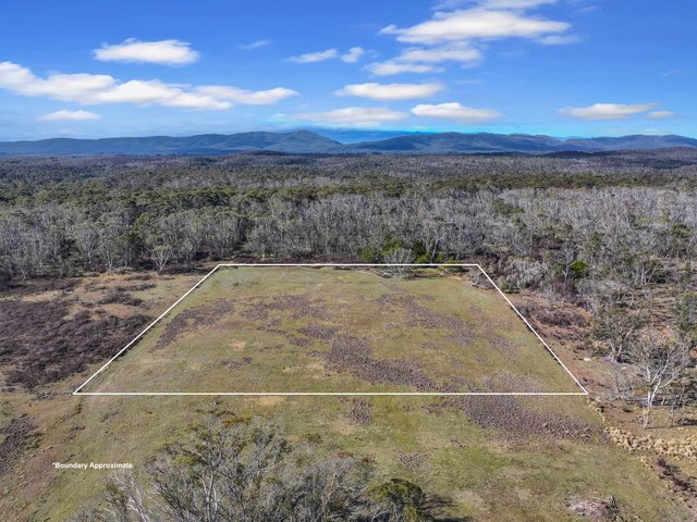 Lot 113 / 443 Back Creek Road, NSW 2622