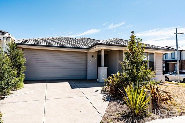 56 Modesto Drive, VIC 3029