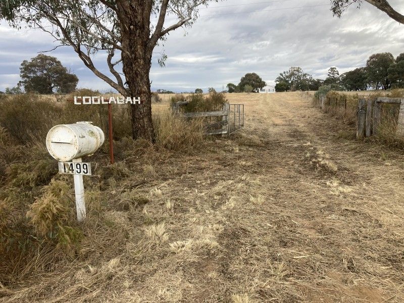 "Coolabah" 1499 Brooks Road, Binnaway NSW 2395 Allhomes