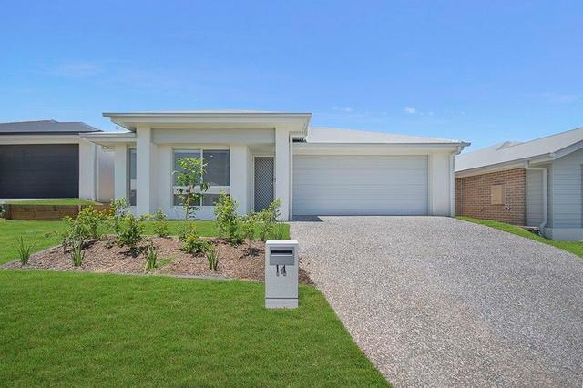 14 Black Cherry Street, QLD 4125