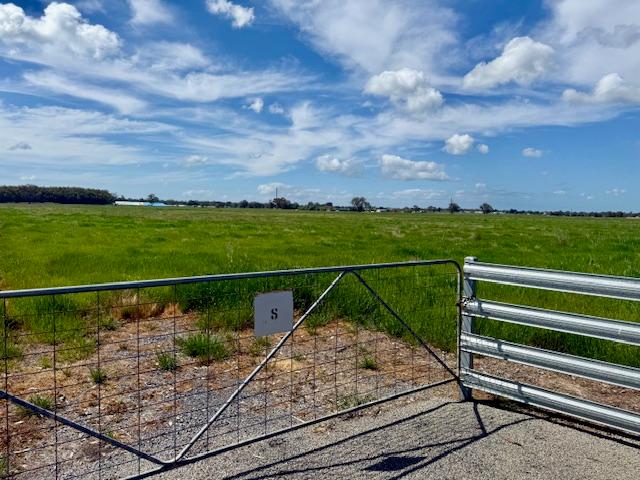 296 Whitehead Street, NSW 2646