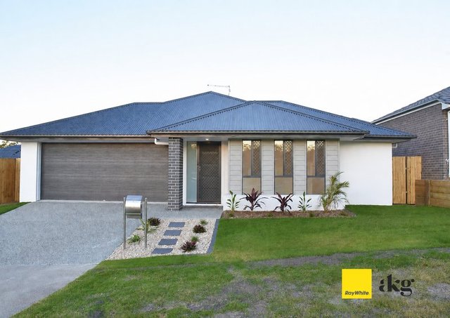 14 Haymarket Street, QLD 4280