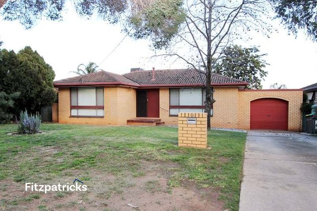 14 Buchhorn Street, NSW 2650