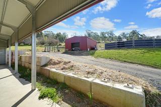 View from inside new shed