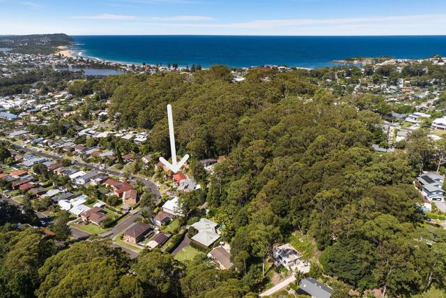 49 Ashley Avenue, NSW 2260