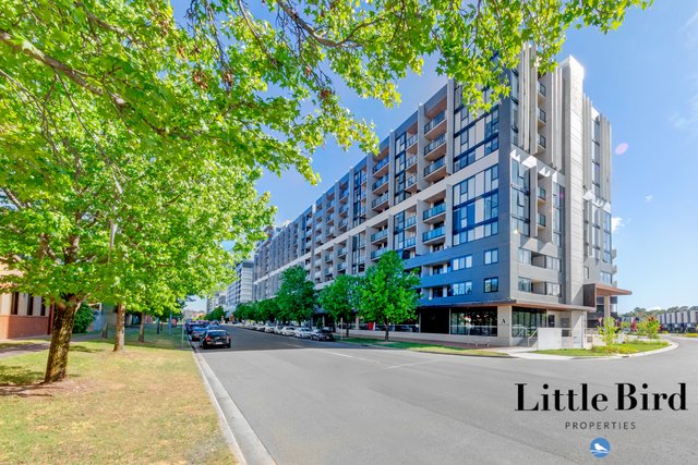 226/335 Anketell Street, ACT 2900