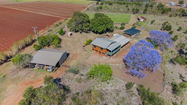 106 Tulesco Road, QLD 4650