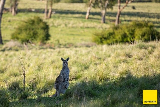 15 Karina Close, NSW 2350