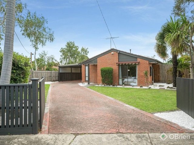 91 Allied  Drive, VIC 3201