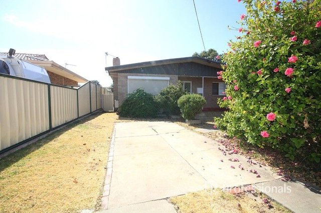 14 Carpenter Terrace, WA 6233