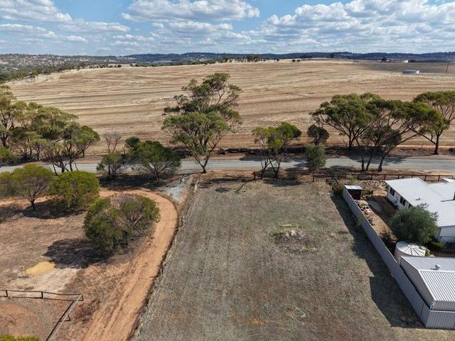 74 Ulster Road, WA 6302