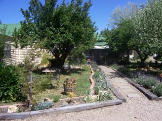 Garden (2008-05-10)