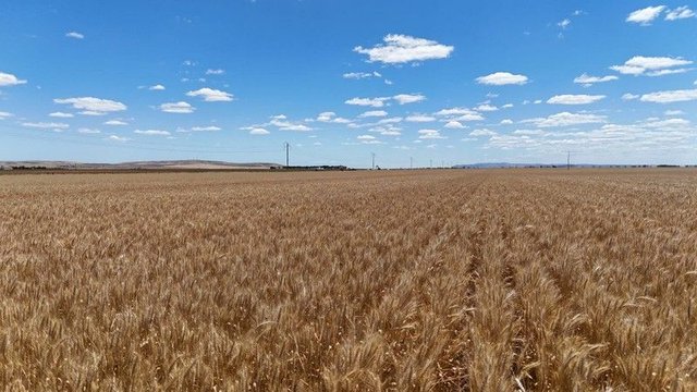 Section 284 Klaus Road, SA 5464