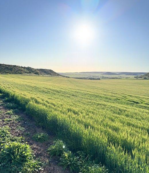 9500 Chapman Valley Road, WA 6532