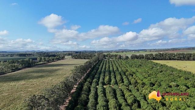 Banchio Road, QLD 4882
