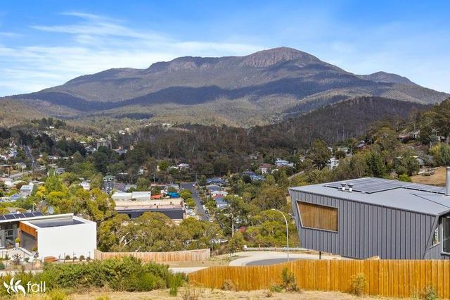 17 Stevens Farm Drive, TAS 7000